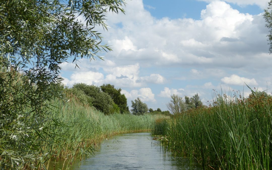 Places to visit: Wicken Fen