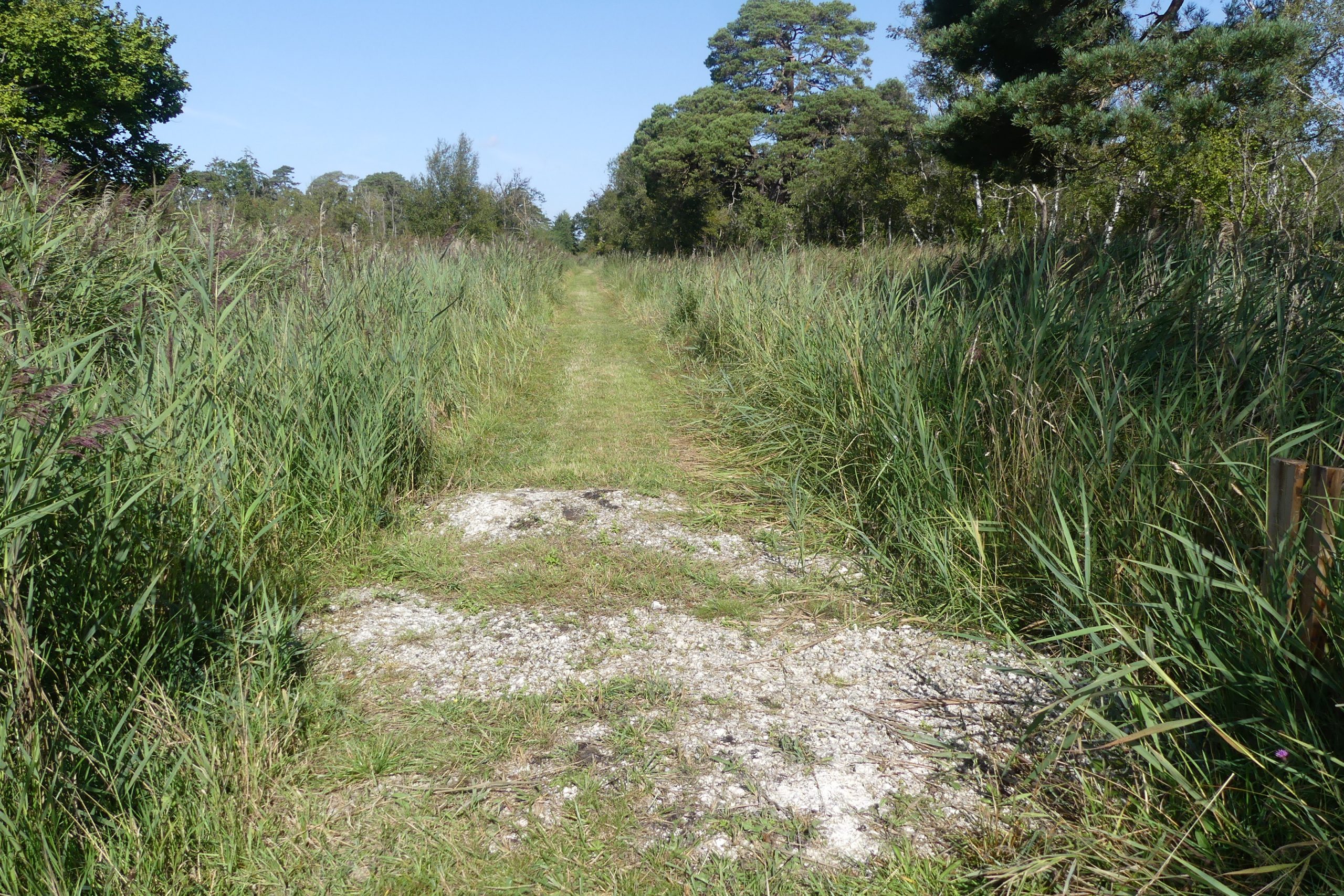 Chippenham Fen Chalk underlying path