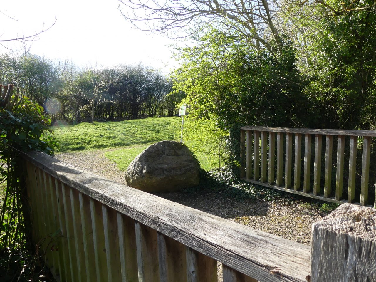 St Ives to Willingham Fen Edge Trail