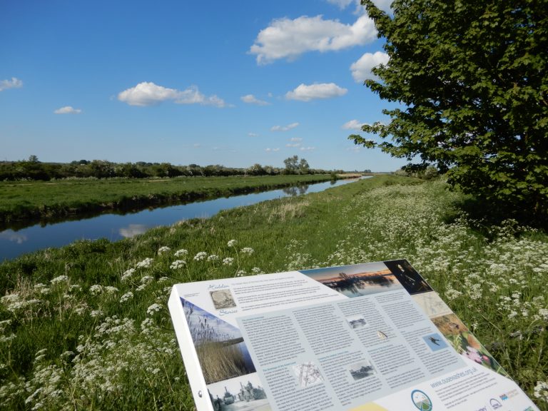 Fen Edge Trail | A walk across a landscape and time