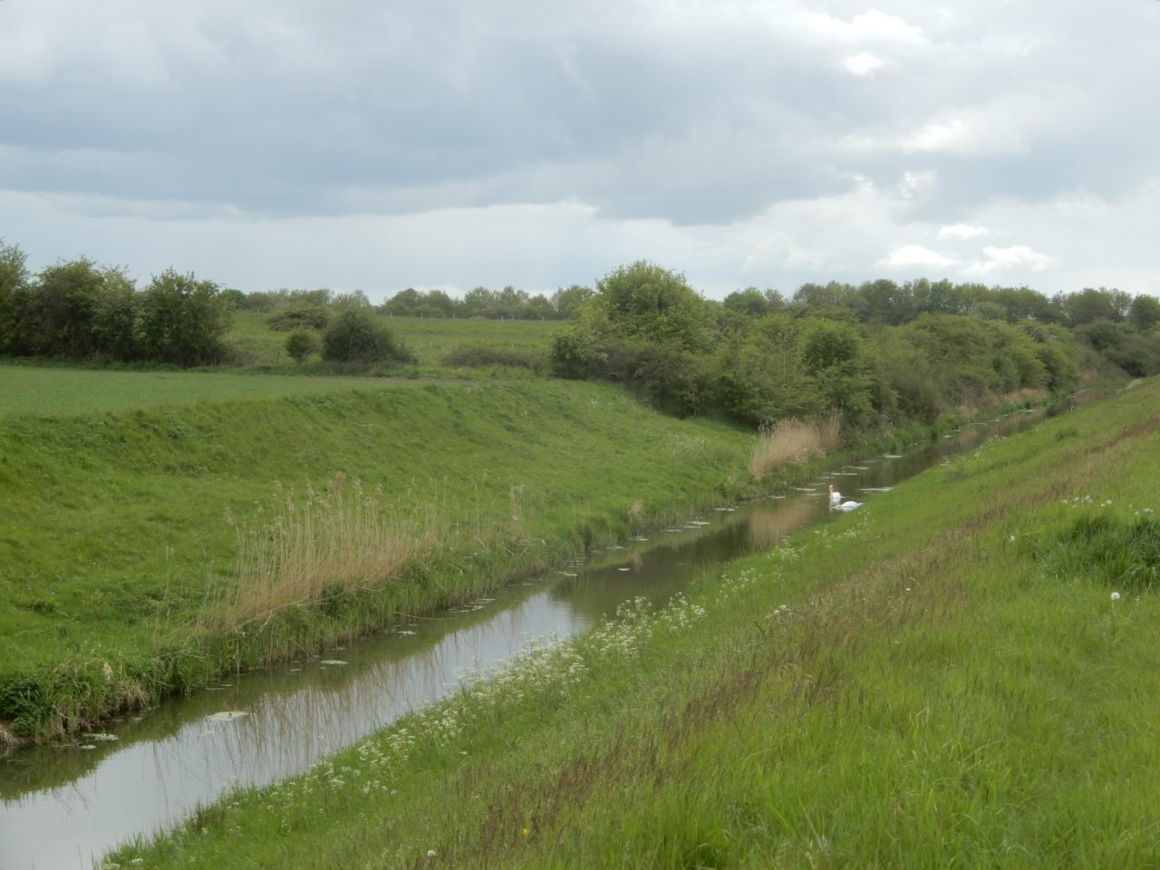 Fen Edge Trail | A walk across a landscape and time